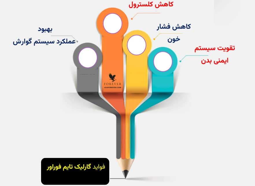 خواص گارلیک تایم فوراور
