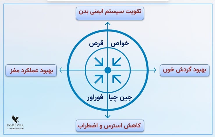 خواص Forever Gin Chia