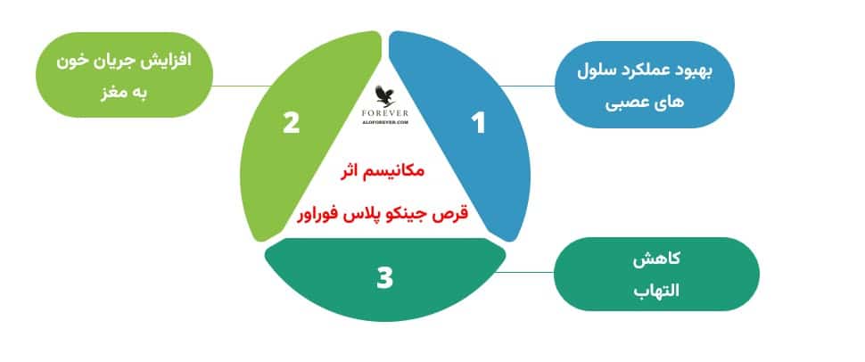 قرص جینکو پلاس فوراور