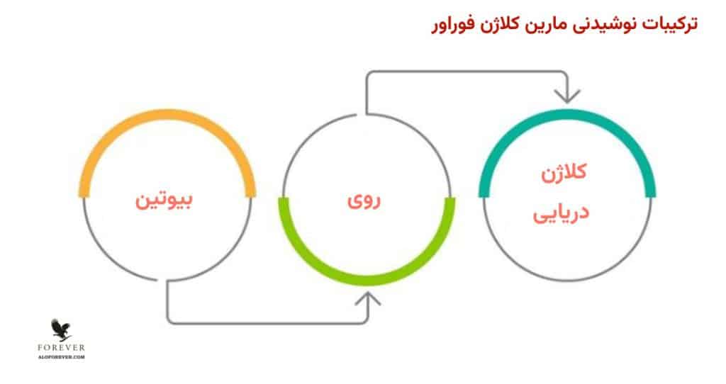 ترکیبات Forever Marine Collagen