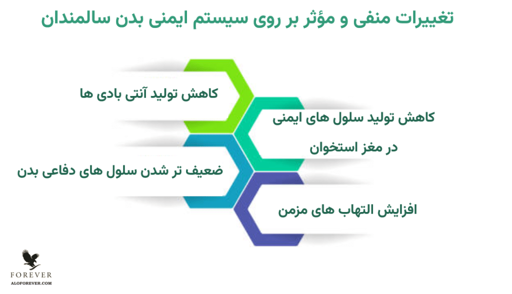 تغییراتی که روی سیستم ایمنی سالمندان تاثیر می گذارد